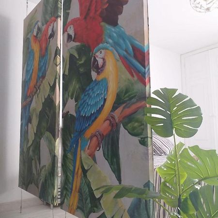 코라레호 Tropical Loft 아파트 외부 사진