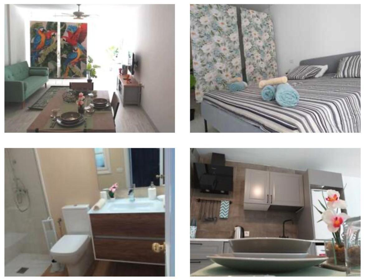 코라레호 Tropical Loft 아파트 외부 사진