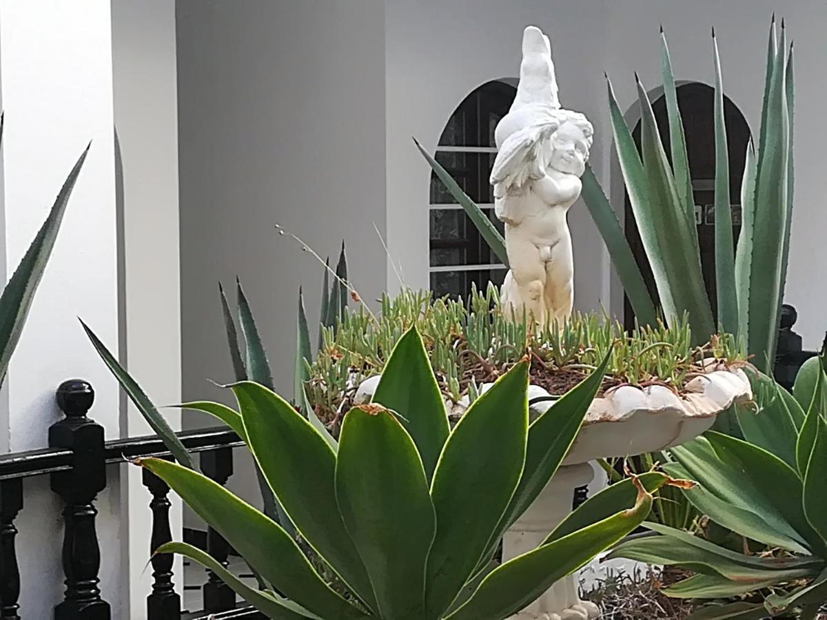 코라레호 Tropical Loft 아파트 외부 사진