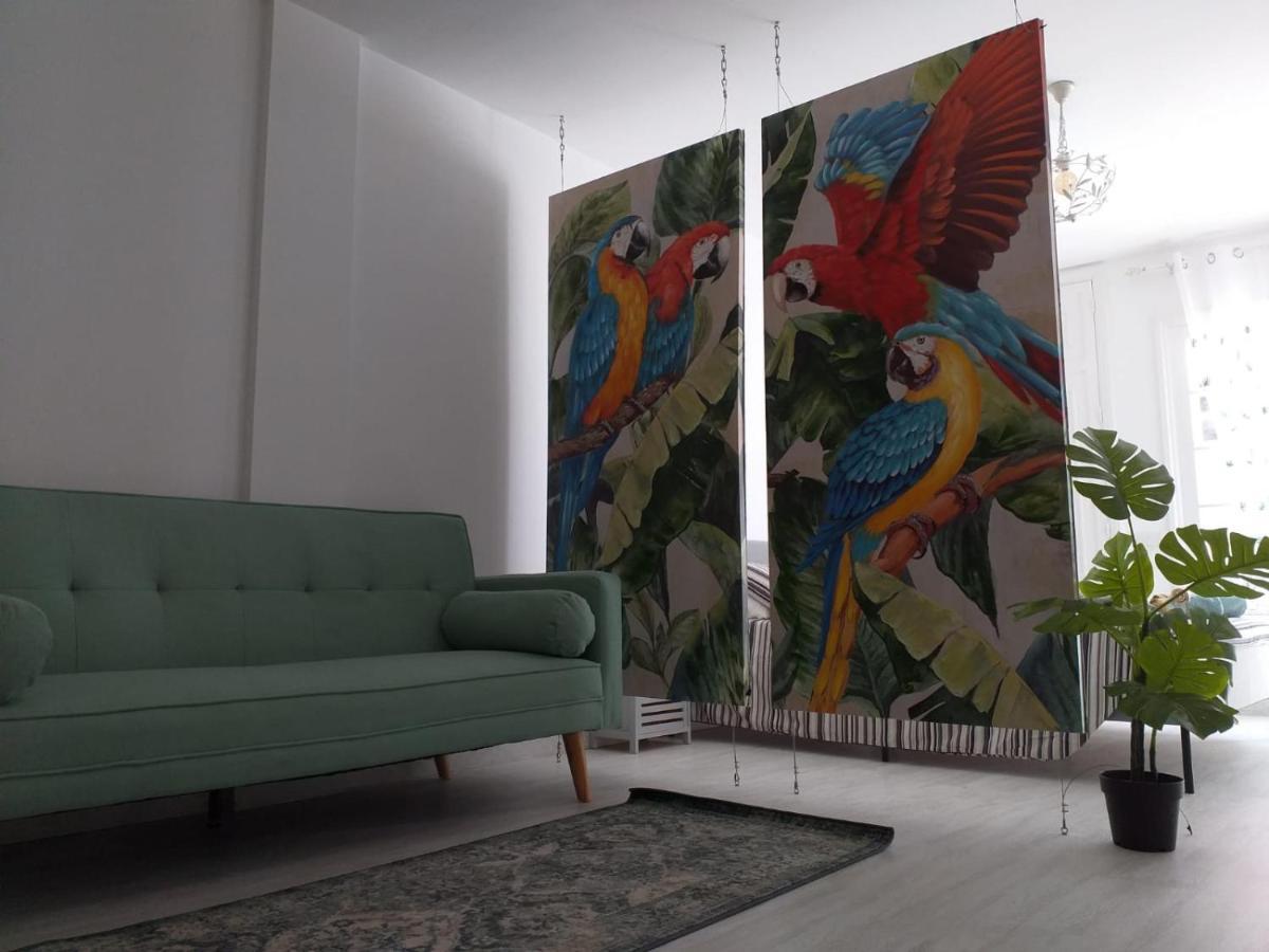 코라레호 Tropical Loft 아파트 외부 사진