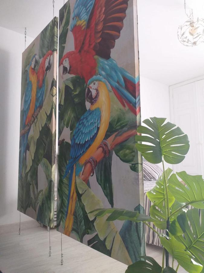 코라레호 Tropical Loft 아파트 외부 사진